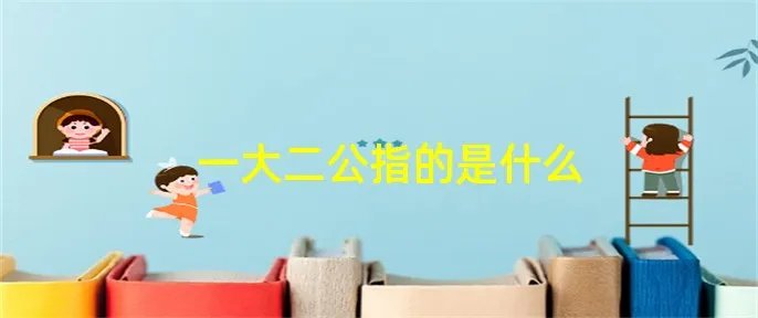 一大二公指的是什么