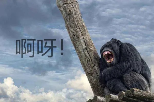 啊组词有哪些。