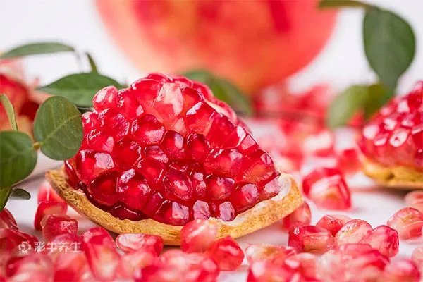 美容护肤的食物有哪些