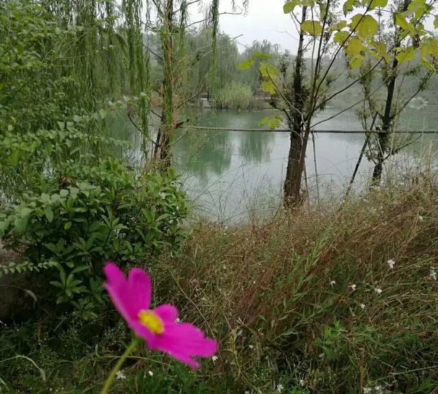 开个渔具店怎么样？