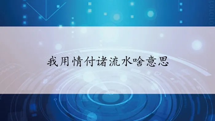 我用情付诸流水啥意思