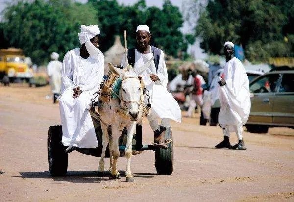 美为何解除对苏丹制裁?