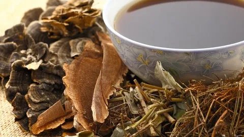 逍遥丸的功效与作用