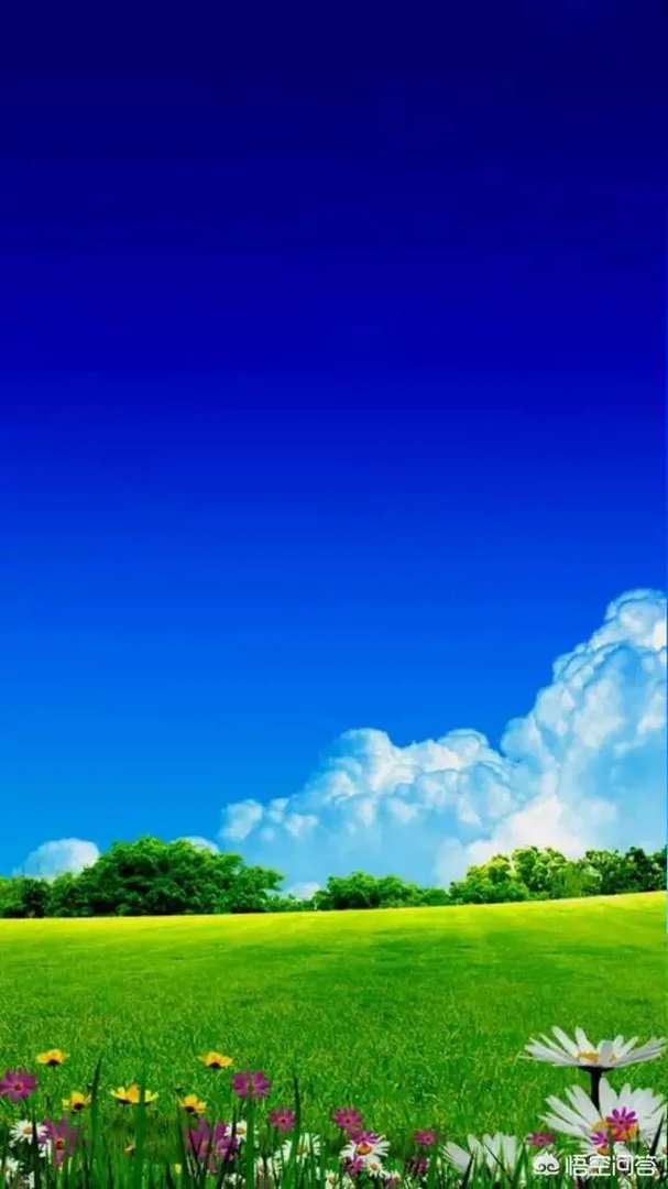 你的手机桌面是什么图片?可以让大家观看一下么?