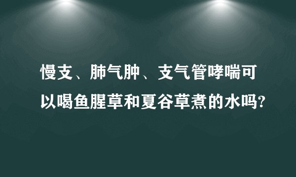 慢支、肺气肿、支气管哮喘可以喝鱼腥草和夏谷草煮的水吗?