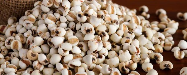 薏仁的功效与作用