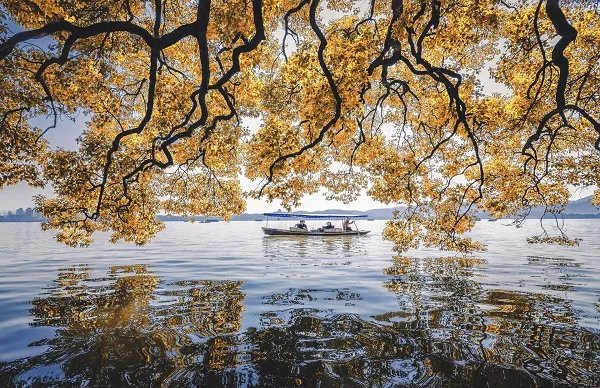 洛阳城里见秋风出自哪首诗