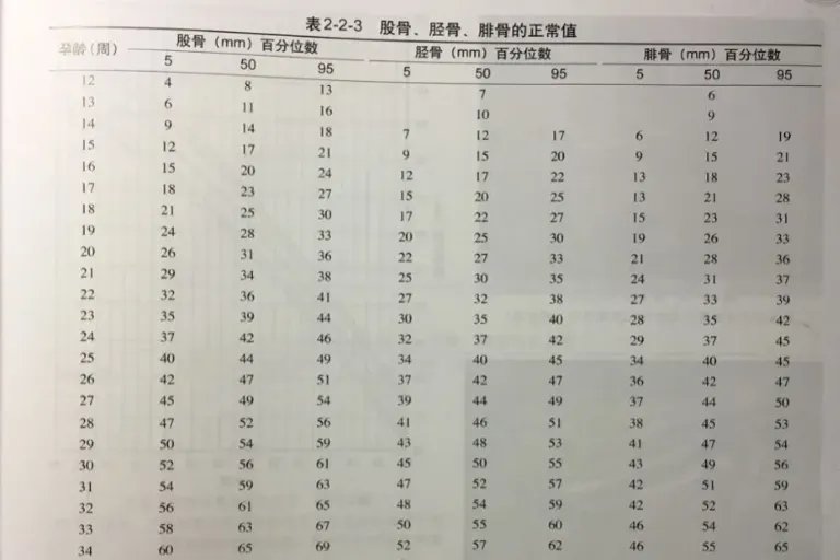 股骨长是什么意思对照表