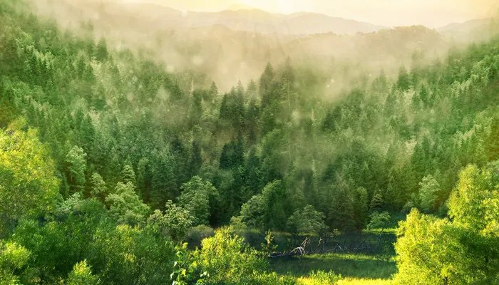 以梦为马不负韶华什么意思