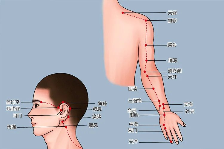 手背三条经络图片