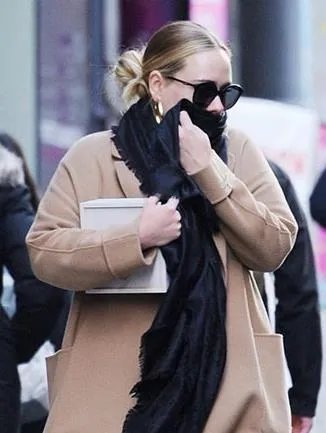 阿黛尔霉霉或合作新作品，同居数日设备也搬进了家中