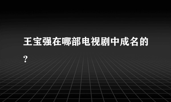 王宝强在哪部电视剧中成名的？