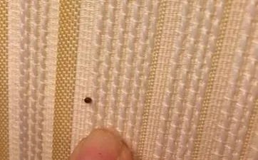 八月份的黄道吉日查询2023年 2023年八月最吉利的日子