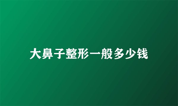 大鼻子整形一般多少钱
