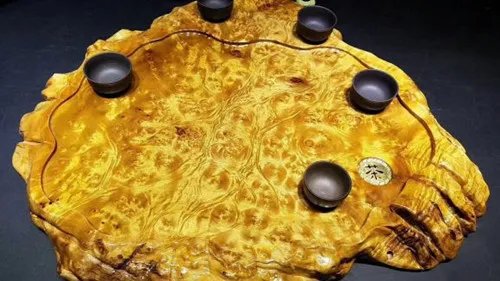 黄金樟是什么木头