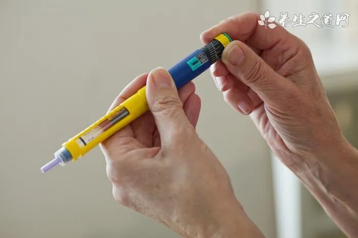 六月寒的功效与作用