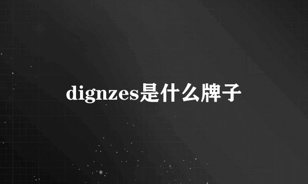 dignzes是什么牌子