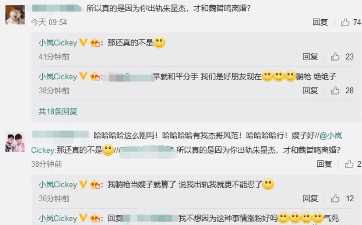 魏哲鸣承认已婚，老婆王岚说真正离婚原因