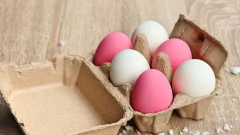 松花蛋不能和什么一起吃