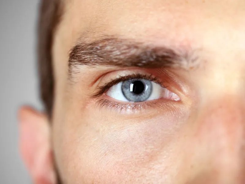 羧甲基纤维素钠作用