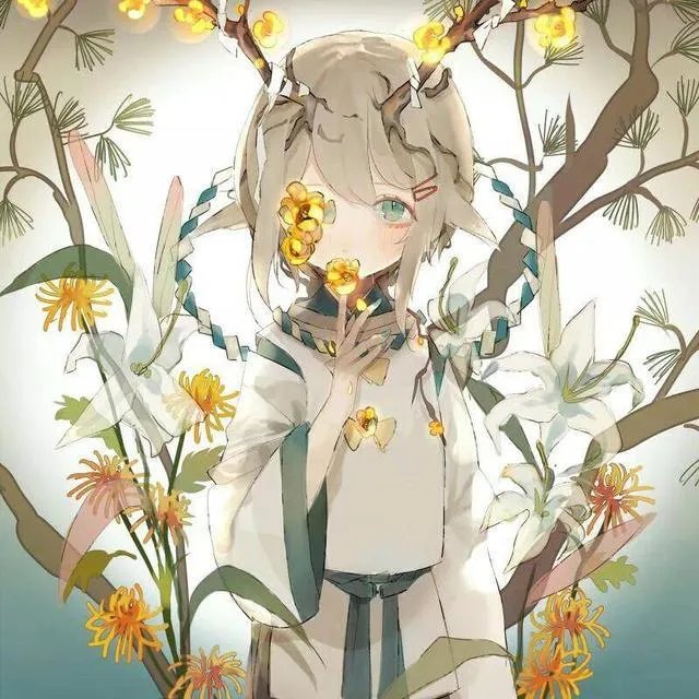 有哪些小清新歌曲推荐?