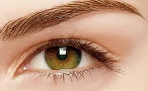 丝雾眉粉墨眉区别