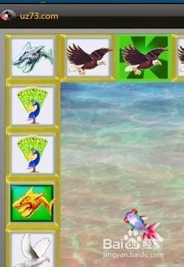 大金鲨技巧，大金鲨游戏技巧