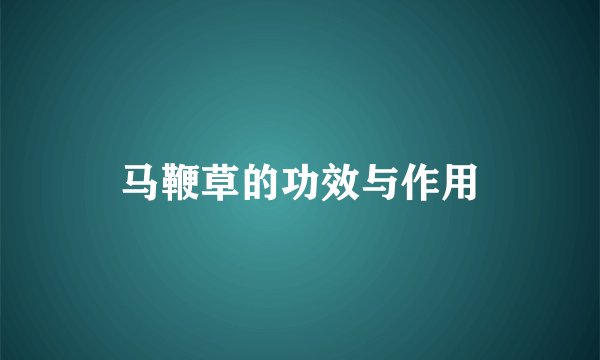 马鞭草的功效与作用