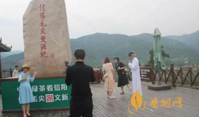 文新信阳红价格-详尽分析与评价