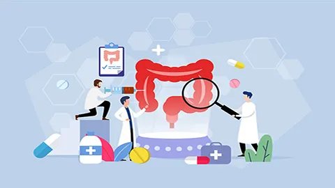 滋阴补肾的食物