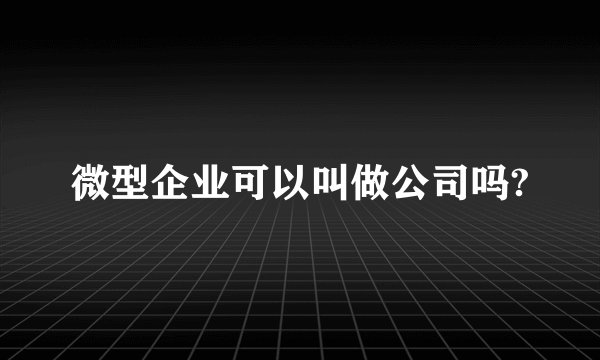 微型企业可以叫做公司吗?