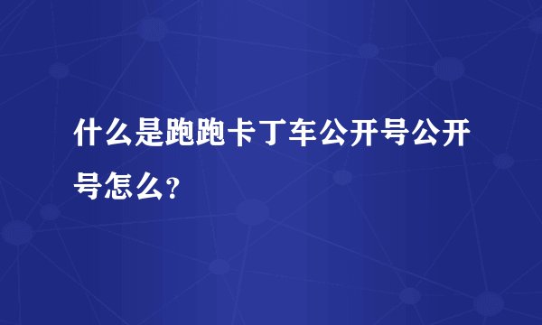 什么是跑跑卡丁车公开号公开号怎么？