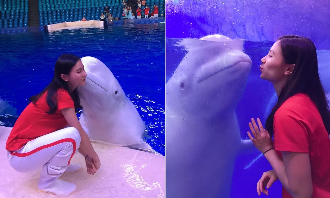 何姿自曝大尺度私照 曝大尺度照片是怎么回事