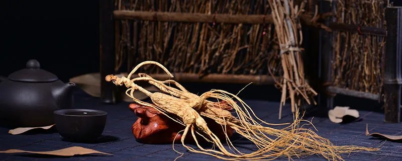 东北三宝是指什么