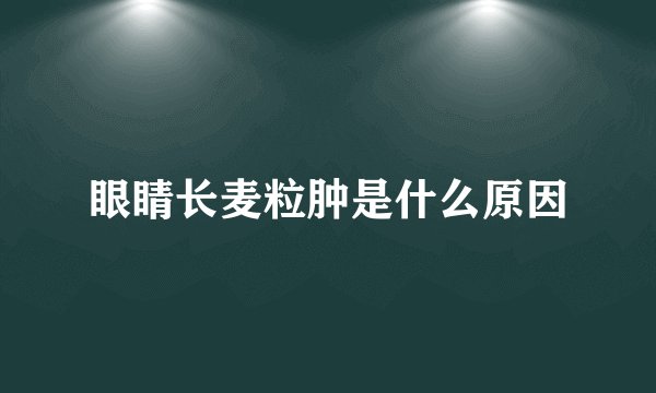 眼睛长麦粒肿是什么原因