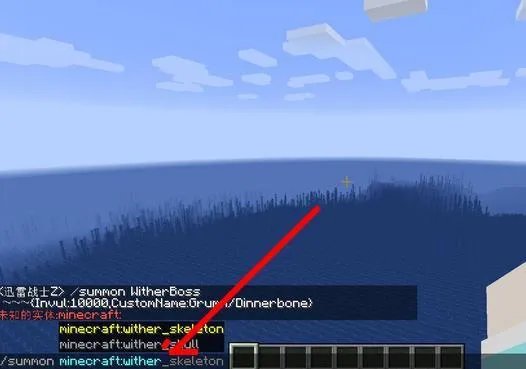 我的世界生成凋零的指令是什么