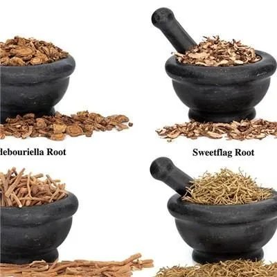 午时茶的功效与作用是什么