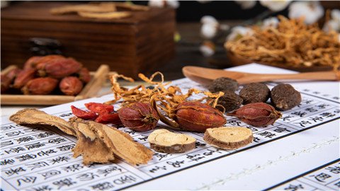 桑螵蛸的功效与作用