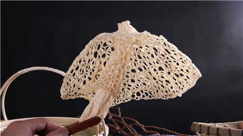 竹荪的功效与作用