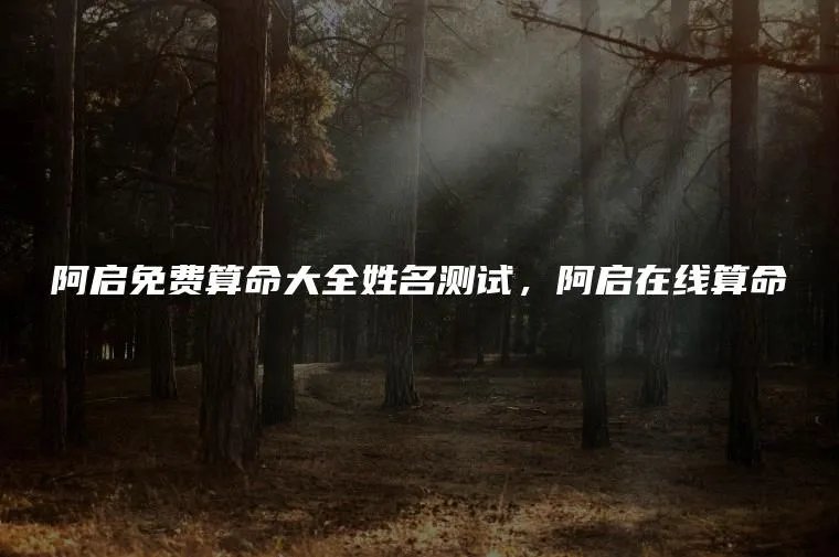 阿启免费算命大全姓名测试，阿启在线算命