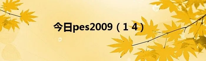 今日pes2009（1 4）