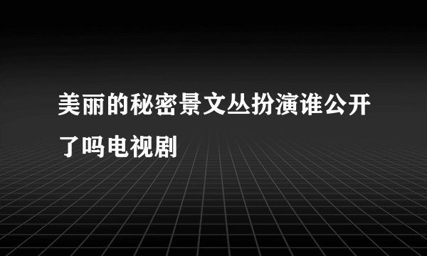 美丽的秘密景文丛扮演谁公开了吗电视剧