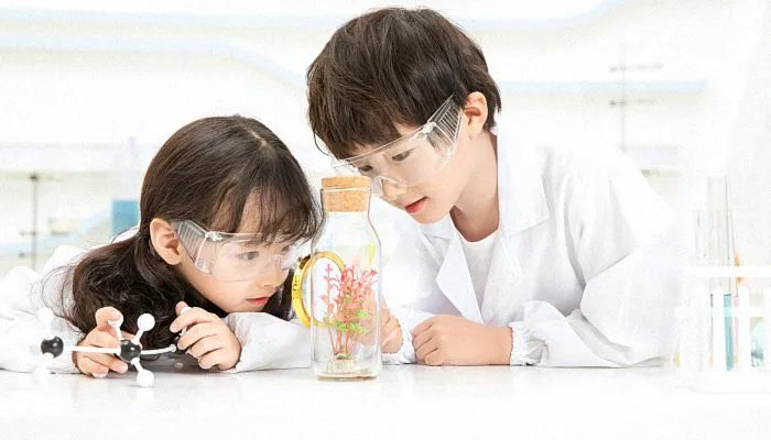 新版百家姓排名 中国最新百家姓排名