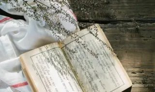 问世间情为何物直教人生死相许请帮我解释一下 问世间情为何物直教人生死相许的解释