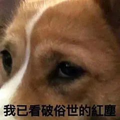 没有那种世俗的欲望表情包大全