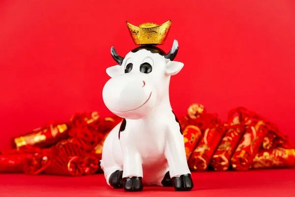 属牛哪个月份出生最好 属牛的生在几月最好