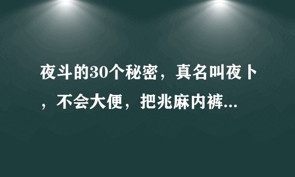 夜斗的30个秘密，真名叫夜卜，不会大便，把兆麻内裤里外对调等等