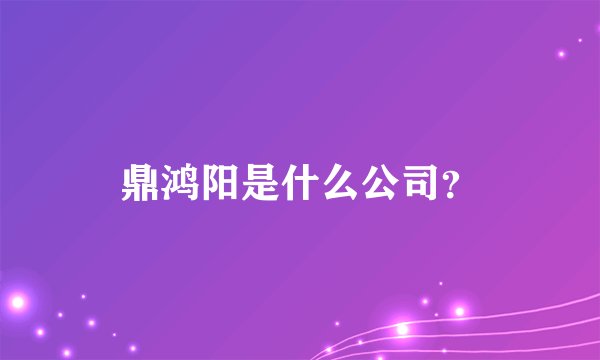 鼎鸿阳是什么公司？