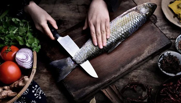 鱼有没有心脏 鱼有没有心脏