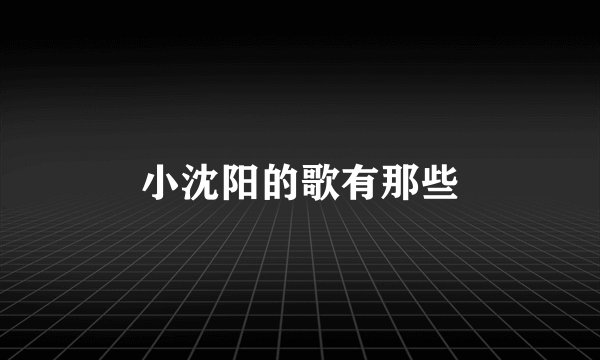 小沈阳的歌有那些